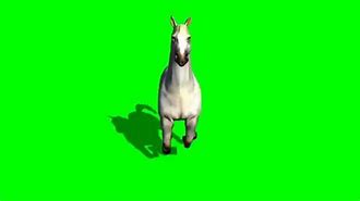 Image result for Horse Animation in Green Screen Moving