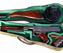 Image result for Violin Gun Case