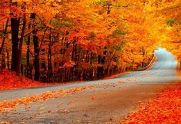 Image result for Apple's Fall Free Wallpaper