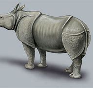 Image result for Rhino Secret Unicorn