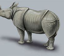Image result for Unicorn Rhinoceros