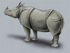Image result for Isn Unicorn a Rhino