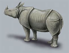 Image result for Rhino Being a Unicorn