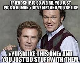 Image result for Wild Friend Group Meme