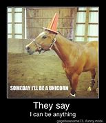 Image result for Funny Horse Memes Unicorn