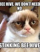 Image result for Bee Hive Meme