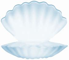Image result for Clam Shell PNG