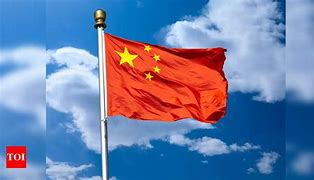 Image result for China Niger