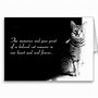 Image result for Cat Loss Sympathy Meme