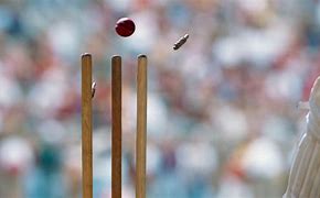 Image result for Cricket Wicket