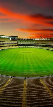 Image result for Cricket Blur Background