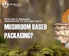 Image result for IKEA Mushroom Packaging