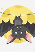 Image result for Upside Down Bat Clip Art