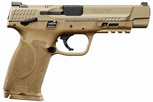 Image result for Smith and Wesson M&P 40