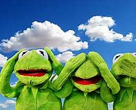 Image result for Bad Kermit the Frog