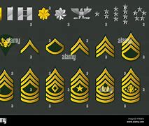 Image result for U.S. Army 4 Star General Insignia