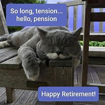 Image result for Happy Retirement Cat Meme