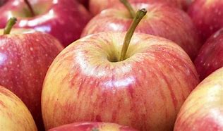 Image result for Apples On Stems