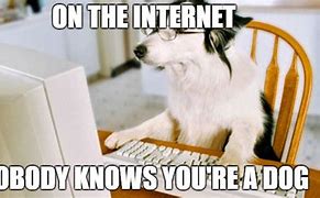 Image result for Dog Internet Meme