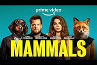 Image result for Amazon Prime Video Streaming TV
