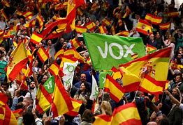 Image result for Vox Partido
