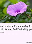 Image result for Quotes About Tomorrow Being a New Day