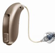 Image result for Receiver In-Ear Hearing Aids