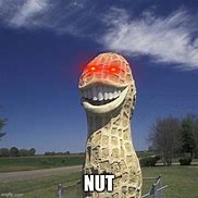 Image result for Nut Waercool Meme