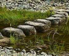 Image result for Creative Roots Stepping Stone