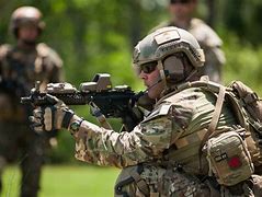Image result for Special Forces SOF