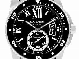 Image result for Cartier Diver Watch