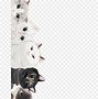 Image result for Cat Clip Art Free
