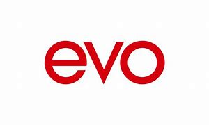 Image result for Groupe EVO