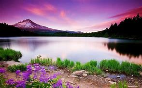 Image result for scenery