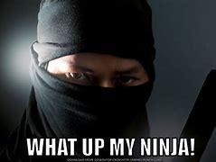Image result for Real Ninja Meme