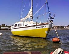 Image result for Seabiscuit