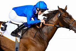 Image result for Melbourne Cup Horse Racing