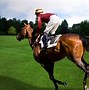 Image result for Horse Race Night Background