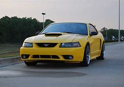 Image result for screaming yellow mustang gt