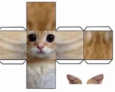Image result for Gato Para Armar Meme