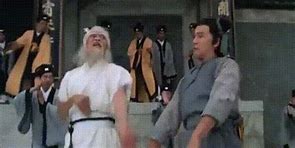 Image result for Kung Fu Fight