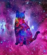 Image result for Cute Galaxy Cat