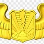 Image result for Military Emblem Whitw Bat Drone