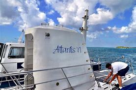 Image result for Aruba Submarine Tour