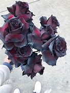 Image result for Black Rose