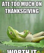 Image result for Funny Florida Thanksgiving