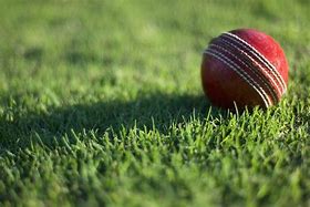 Image result for Cricket Ball Withour Background