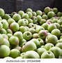 Image result for Dozen Apples