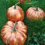 Image result for Stormlight Archive Pumpkin Painting