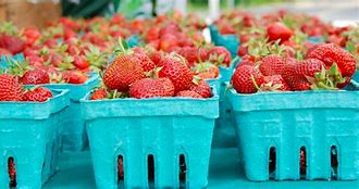 Image result for Local Food Farmers Market